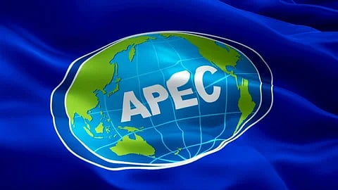 APEC trade seen rebounding in 2024
