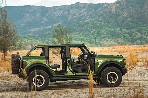 Perfect pair Bronco and nature.