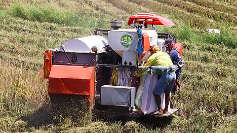 (FILES) A harvester plows through a rice field in Bongabon, Nueva Ecija. 