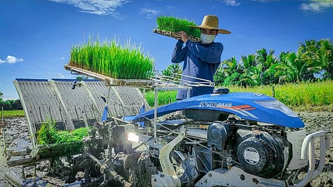 PHilMech, UN hold sustainable farming training
