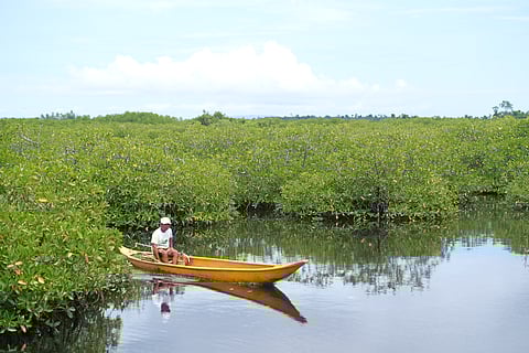 Meet the Bakhawan Stewards
