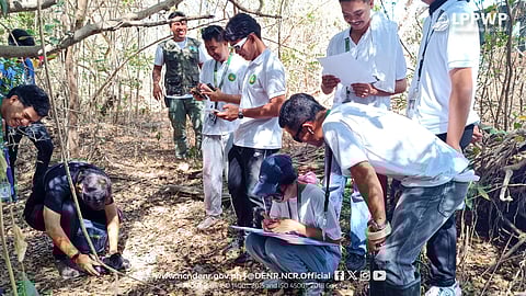 PARAÑAQUE City College students use digital and physical tools to tag and map Long Island in the Las Piñas Parañaque Wetland Park (LPPWP) as part of their Civic Welfare Training Service. The data generated will create a mangrove database and digital map to aid in its sustainable management under the DENR’s #BakaJuan project. The 36-hectare LPPWP is the densest and most diverse mangroves in Metro Manila’s coast, known as the #LastCoastalFrontier.