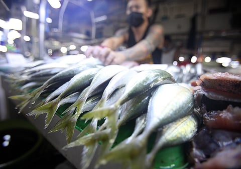 Vendor: Tawilis safe despite Taal Lake fears