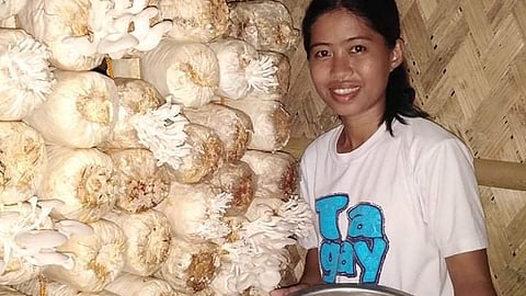 Jessa Samonte turns mushrooms into a thriving business that continues to scale. The 2014 alum of the state-sponsored Agrostudies in Israel makes small-town tours to share the playbook. 