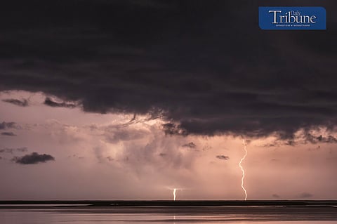 TRIBUNE-lightning