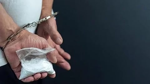 Taguig druggies nabbed