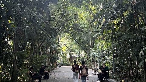 Arroceros Forest Park, the ‘last lung of Manila,’ provides sanctuary for urban dwellers seeking refuge from the extreme heat.