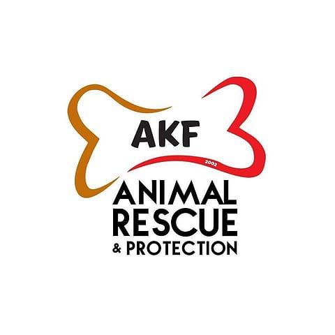 AKF rescues six abandoned dogs from SMC project site
