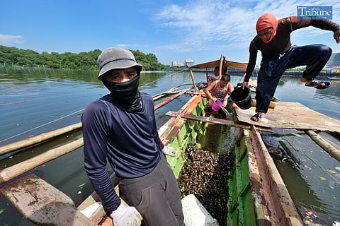 LOOK: The Cavite government has declared a No-Catch Zone for all shellfish (e.g., tahong, alimasag, alimango, and halaan) as well as a state of calamity in the municipalities of Bacoor, Kawit, Noveleta, Rosario, Tanza, Naic, Maragondon, and Ternate following an oil spill six days after M/T tanker Terra Nova sank while carrying 1.4 million liters of fuel. 

Here, fishermen were captured unloading shellfish from their boat at the Parañaque Fish Port in compliance with the provincial government's directive on Wednesday, 31 July 2024. 

Meanwhile, the Philippine Coast Guard stressed that fishing in areas affected by the oil spill in Manila Bay is not advisable.