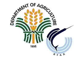 BFAR clears Samar island town of red tide