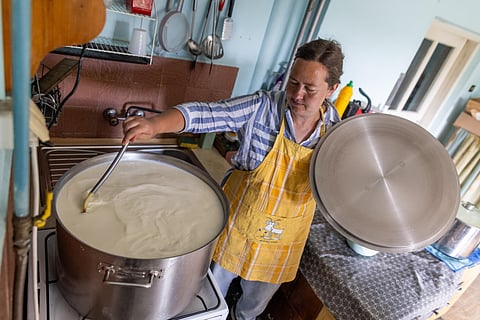 Belarusian exiles heal pain by making cheese