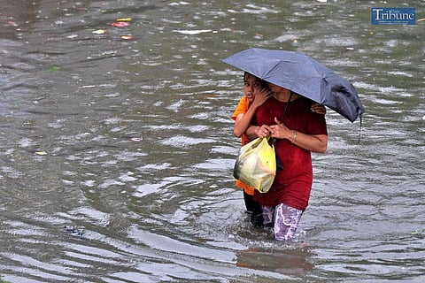 TRIBUNE-mom-child-braving-waters