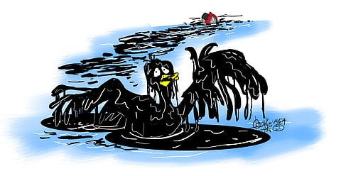 Oil spill’s grim aftermath