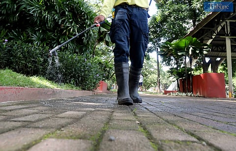 LOOK: Workers spray chemical solution to kill moss on the pavement as a preventive measure to avoid slipping, especially for students, at the University of the Philippines campus in Quezon City on 2 August 2024. 