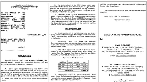Davao Light and Power Company, Inc