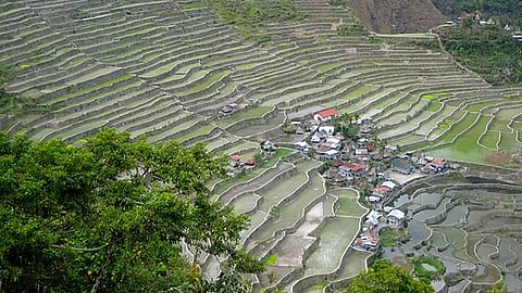 Romain Pontida via Creative Commons License 2.0 (https://creativecommons.org/licenses/by-sa/2.0/)