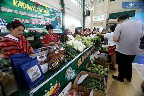 Parañaque eyes largest Kadiwa Market