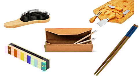 PENCIL Case, Brush Detangler, HARMONICA, CHOPSTICKS and CHEESE set.