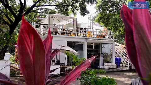 A cozy cafe in Muntinlupa.