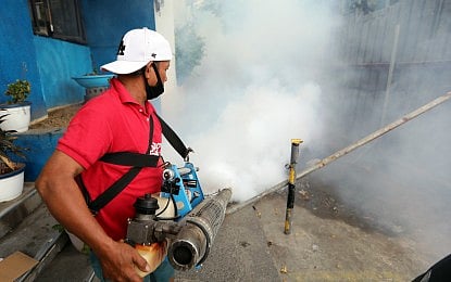 Manila intensifies fight vs dengue
