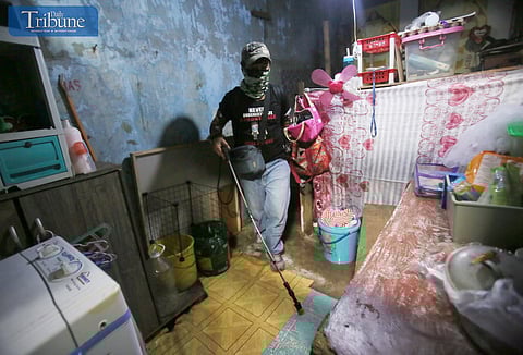 DENGUE Watch: A public health worker checks a potential mosquito breeding site as the DOH reports a 12% drop in dengue cases—but warns of a possible surge with the arrival of the rainy season.