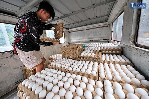 LOOK: Employees from an egg distributor in Blumentritt, Manila, on Saturday, 24 August 2024, meticulously unloaded trays of eggs as they made deliveries to clients at a market in Sta. Ana, Manila. 

They reported delivering at least a thousand trays of eggs daily across Metro Manila. The eggs are sourced from a farm in Batangas. At the market, a tray of eggs is priced between P250 and P280, depending on the size.