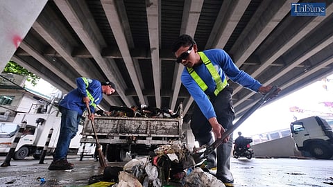 TRIBUNE-mencleaning