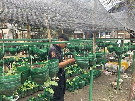 VEGETABLE gardens in Camp Caringal and 16 QCPD stations produced P51,000 worth of fruits and produce.