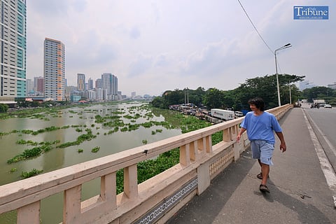 TRIBUNE-pasigriver