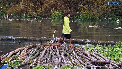 Balsa makers transport piles of bamboo poles along Manila Bay in Parañaque on Wednesday, 4 September 2024. Balsa, or floating shanties, are increasingly appearing around the Manila Bay area.