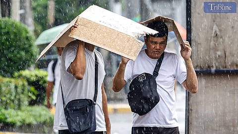 TRIBUNE-Pedestrians-protecting-themselves-from-the-rain