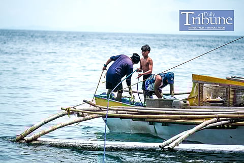 Creation of Department of Fisheries sought