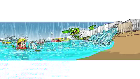 Floods breed crocs
