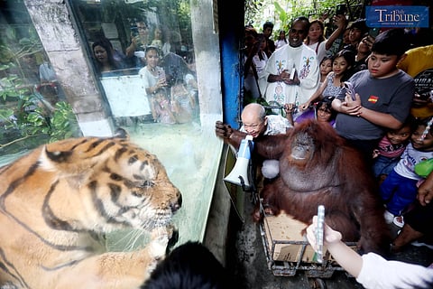 LOOK: In honor of World Animal Day and the feast day of St. Francis of Assisi, patron saint of animals, on 4 October, Father Jeya Seelan leads a blessing ceremony of the animals at the Malabon Zoo on Sunday, 29 September 2024. Joining the occasion were Malabon Zoo founder Manny Tangco and hundreds of pet lovers and their pets.