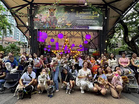 WHO let the pets out? A day of blessings for all.