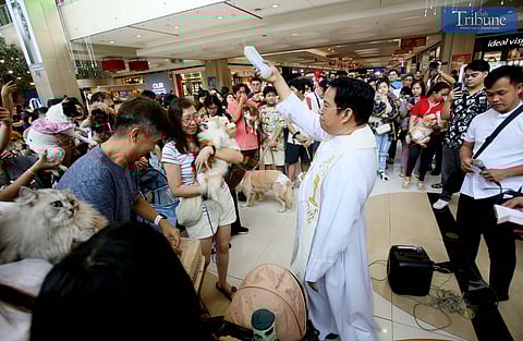 As part of the World Animal Day celebration on 4 October, a priest blesses fur-parents and their fur-babies during a pet blessing at SM City Marikina on Sunday, 13 October 2024.