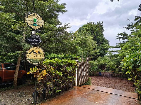 In Pet Valley families (fur-babies included) take a day to spend with their fur loved ones.