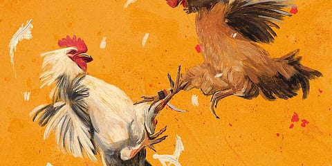 ‘Los Sabungeros.’