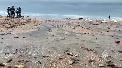 In this grab taken from a handout footage released by the Russian Emergencies Ministry on December 17, 2024, rescuers respond to an oil spill along the coastline of the Black Sea, caused by the wreck of two oil tankers, with the one which broke apart, in a storm in the Kerch Strait between Crimea and southern Russia's Krasnodar region on December 15. 
