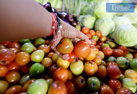 A customer buys tomatoes at the Marikina Public Market on Tuesday, 7 January 2025, despite prices reaching up to ₱280 per kilogram due to a decline in local supply. The Department of Agriculture (DA) says prices may drop by late January or early February as the harvest season begins. 