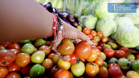 A customer buys tomatoes at the Marikina Public Market on Tuesday, 7 January 2025, despite prices reaching up to ₱280 per kilogram due to a decline in local supply. The Department of Agriculture (DA) says prices may drop by late January or early February as the harvest season begins. Analy Labor