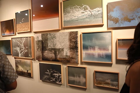 Angela Panlilio’s captivating eye.