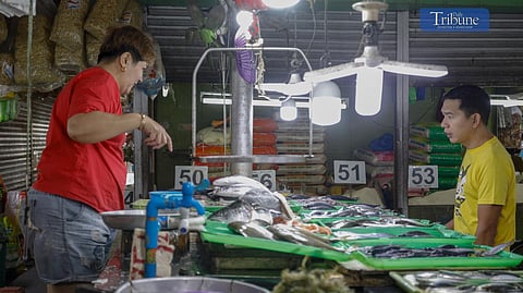 Saltwater fish price hike