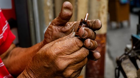 The key to longevity