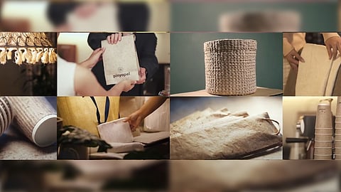 Pinyapel or paper made from pineapple leaves shows its versatility in packaging and drinking cups. 