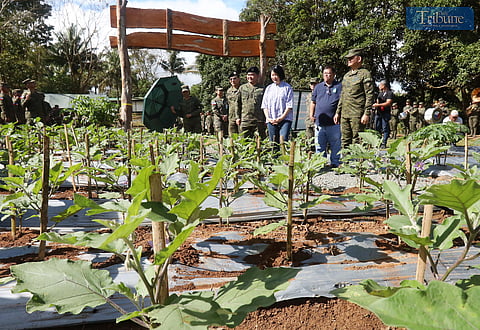 Dra. Isa C. Suntay, co-founder of the Tarlac Heritage Foundation, together with MGen Pedro Balisi Jr., Commander of the Philippine Army’s Armor Division, and MGen Cerilo Balaoro Jr., Commander of the 2nd Infantry Division, led the blessing and tree planting at the “Hardin ng Lunas” opening in Camp Mateo Capinpin, Tanay, Rizal, on 20 January 2025. The initiative highlights environmental restoration and food security through native tree planting and vegetable gardening.