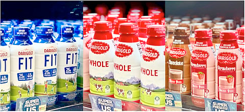 Darigold milk
