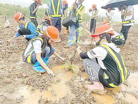 EMPLOYEES of Rio Tuba Nickel Mining Corp., a subsidiary of Nickel Asia Corp., and students of Rio Tuba National High School plant trees to celebrate National Environmental Awareness Month last year. 
