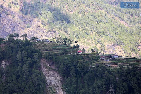 Houses surrounded by vegetable plots were spotted in Atok, Benguet, on Thursday, 23 January 2025. 

According to PAGASA, temperatures in Benguet dropped to a chilly 9.4 degrees Celsius on Sunday, marking one of the coldest days of the season.