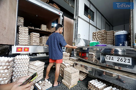 (FILE PHOTO) (January 21 2025) Workers transfer trays of eggs to another truck following the accident. The eggs will be delivered to local suppliers in Metro Manila on January 21, 2025. The Department of Agriculture (DA) will launch the LOVE project (Layered Organization for Voluntary Egg Production) this year. The program aims to increase egg production, improve food security, and create jobs by investing ₱85.2-million. It will set up small-scale egg production in strategic locations across the country, benefiting farmers, community groups, and cooperatives identified by regional offices and local governments..

